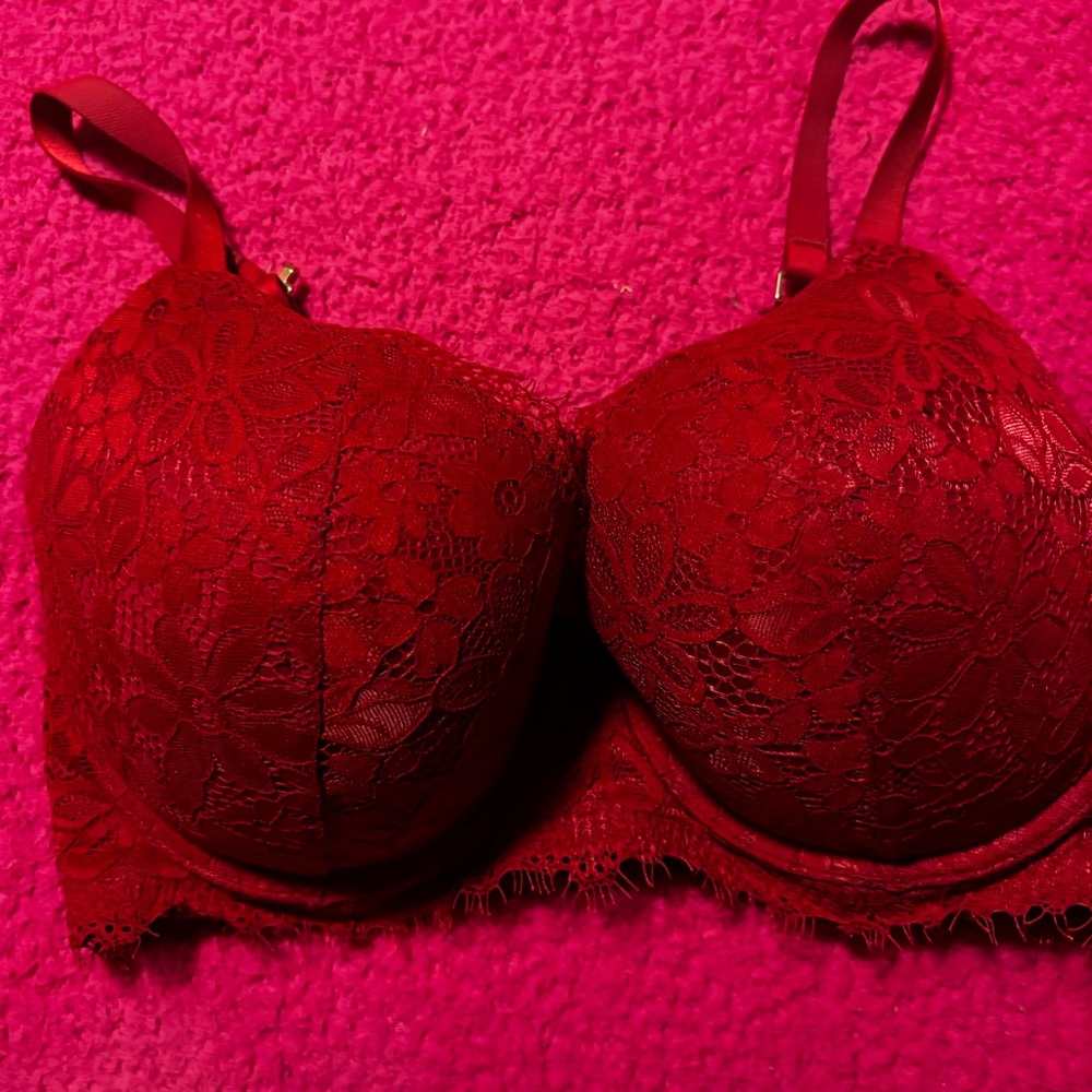 Aerie Lace Push Up Bra - Red - Size 34DDD (34F)